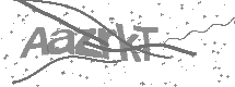 visual captcha